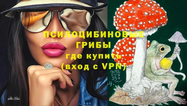 спайс Богородск