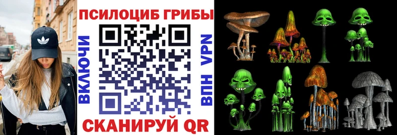 Галлюциногенные грибы прущие грибы  цены наркотик  Чапаевск 